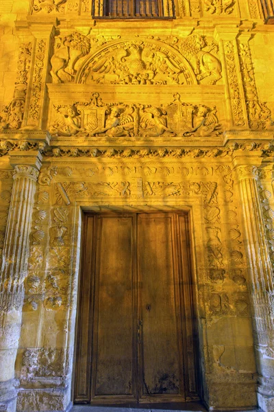 Granada, spanien - 29. mai 2015: das renaissance-portal der casa de castril von sebastian de alcantara aus dem jahr 1539. — Stockfoto