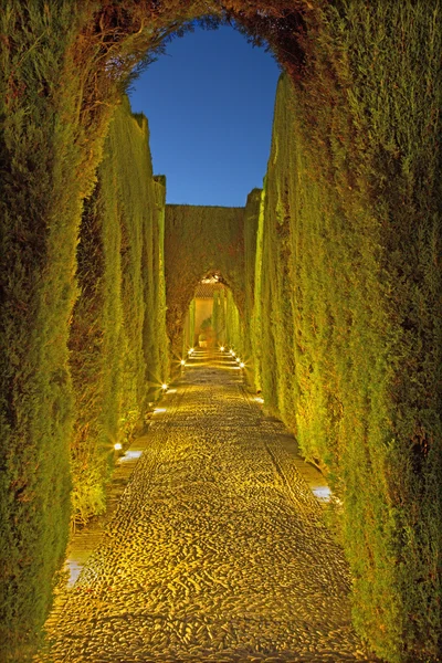 GRANADA, SPAIN - MAY 30, 2015: The Generalife gardens of Alhambra palace at dusk. — Stock Photo, Image