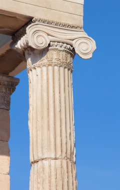 Atina - Erechtheion akropolü iyonik başkenti sabah ışık detay.