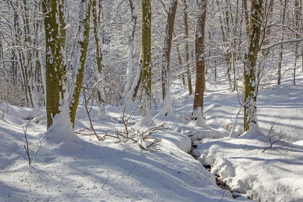 Potok w lesie zimowym w Little Carpathian Hills - Słowacja — Zdjęcie stockowe