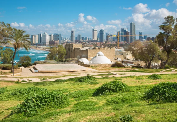 TEL AVIV, ISRAEL - MARCH 2, 2015: The outlook to waterfront and city from Gan HaPisga Summit Garden in old Jaffa. — Stockfoto