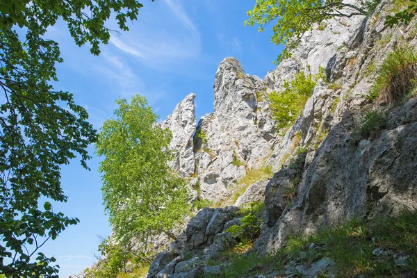 Slovensko - Krslenica skály v malých Karpatech hills — Stock fotografie