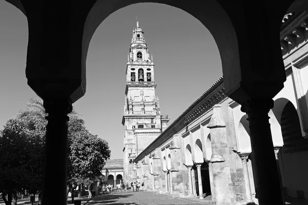 Cordoba, Spanien - 28. Mai 2015: der Kathedralenturm aus dem Orangenbaumhof. — Stockfoto