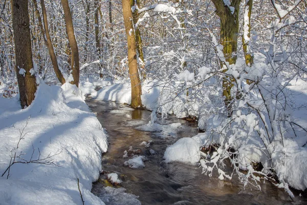 Creek Winter Forest Little Carpathian Hills Slovakia — Stock Photo, Image