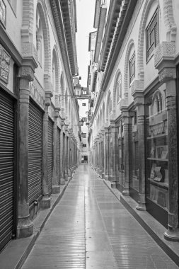 Granada - Sabah Alcaiceria Pazarı