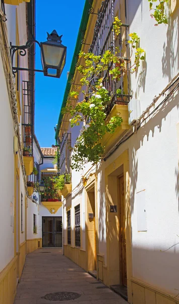 Cordoba Navata Nel Centro Storico Vicino Alla Cattedrale — Foto Stock