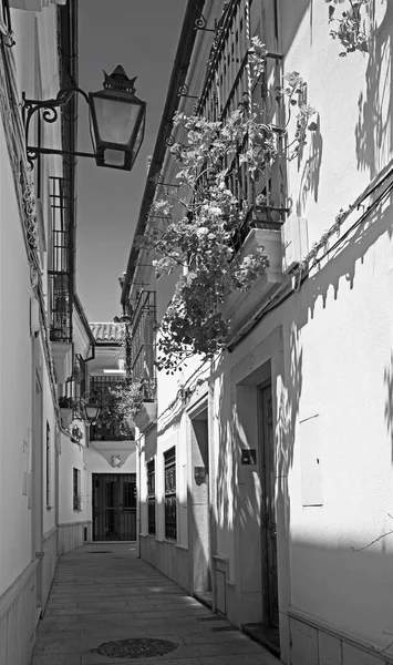 Cordoba Katedral Yakınlarındaki Eski Kasabanın Merkezindeki Koridor — Stok fotoğraf