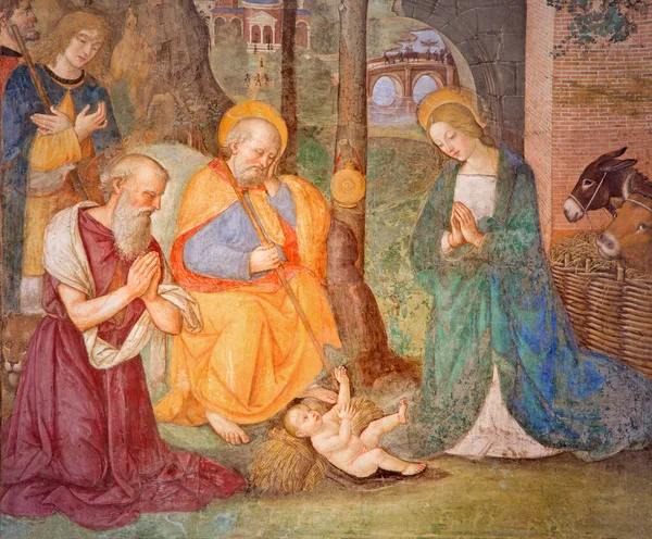 意大利 2016年3月9日 Bernardino Pinturicchio 1488 1490 在圣玛莉亚波波洛大教堂Rovere教堂的壁画 与圣杰罗姆的诞生 — 图库照片
