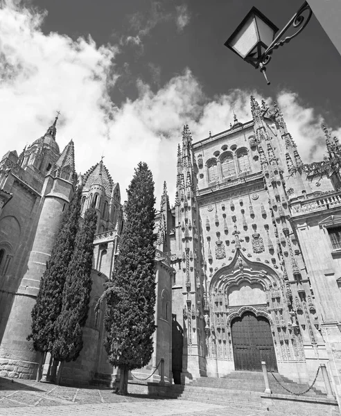 Salamanque Espagne Avril 2016 Portail Gothique Sud Catedral Vieja Ancienne — Photo