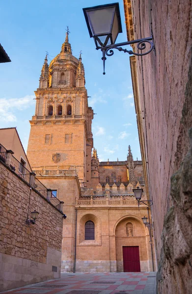 Salamanca Katedralens Södra Gotiska Portal Nueva Katedral Kvällsljus — Stockfoto