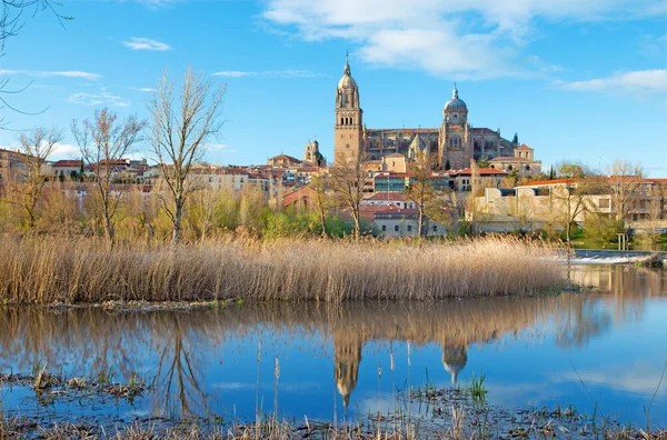 Salamanque Cathédrale Rivière Rio Tormes — Photo