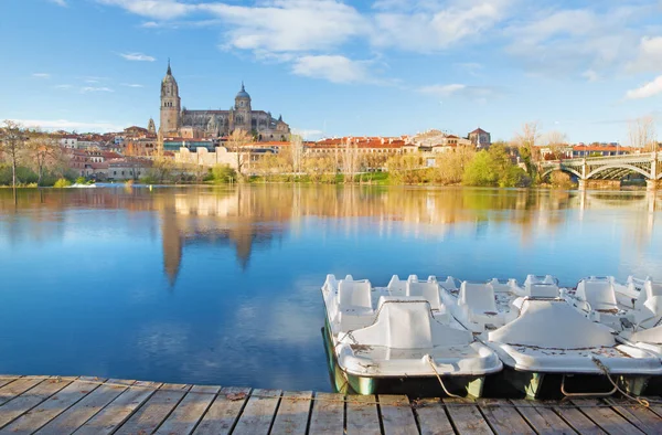 Salamanca Cattedrale Fiume Rio Tormes — Foto Stock