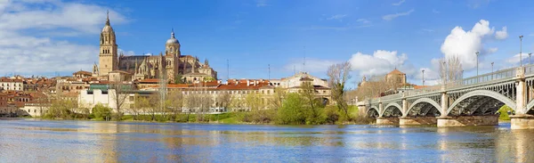 Salamanca Katedralen Och Bron Puente Enrique Estevan Avda Och Floden — Stockfoto