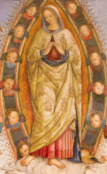 Rome Italië Maart 2016 Fresco Hemelvaart Van Maagd Maria Detail — Stockfoto