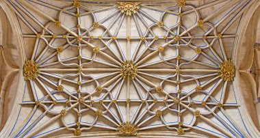 SALAMANCA, SPAIN, APRIL - 16, 2016: Yeni Katedral 'de (Katedral Nueva).