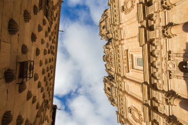 SALAMANCA, İspanya, APRIL - 17, 2016: Barok kapısı La Clerecia - Pontifical Üniversitesi.