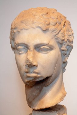 Roma, İtalya - 23 Mart 2012: Palatine Hill 'deki antik baskın.