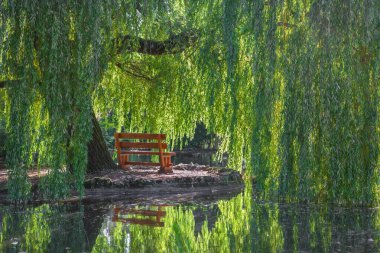 Topolcianky - Topolcianky 'deki sarayın prark' ında söğüt ağacıyla romantik köşe.