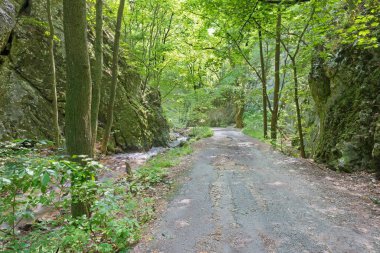 Slovakya - Slovakya Milli Parkı 'ndaki Zadielska Vadisi.
