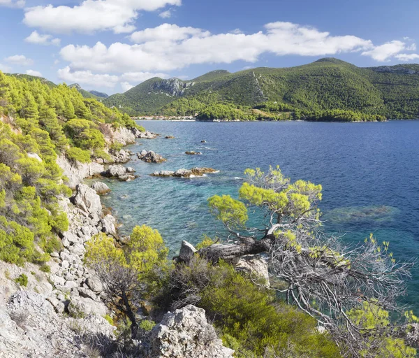 Croacia Costa Península Peliesac Cerca Zuliana — Foto de Stock