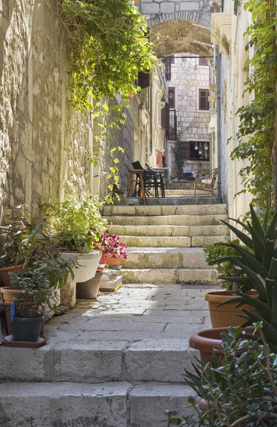 Korcula Den Enda Krämpan Gamla Stan — Stockfoto