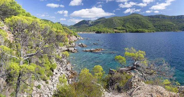 Croatia Coast Peliesac Peninsula Zuliana — Stock Photo, Image