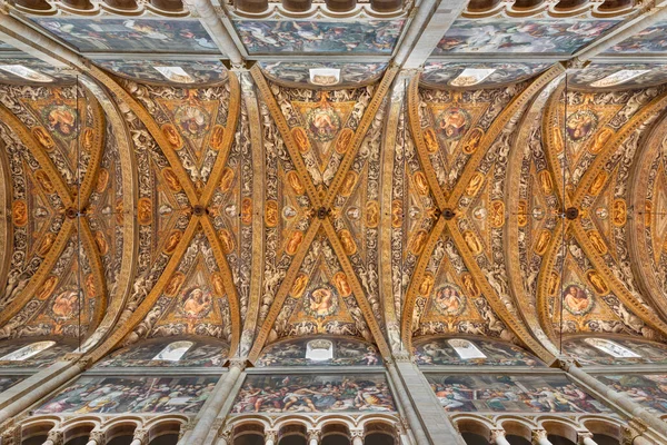 Parma Italy April 2018 Fresco Vault Duomo Prophets Gerolamo Bedoli — 图库照片