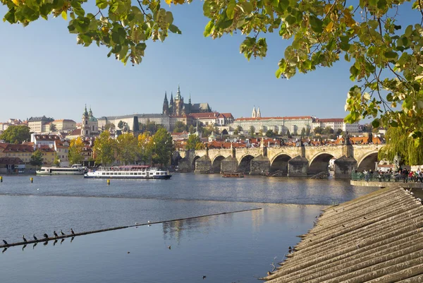 Praha Karlův Most Hrad Katedrála Řekou Vltavou — Stock fotografie