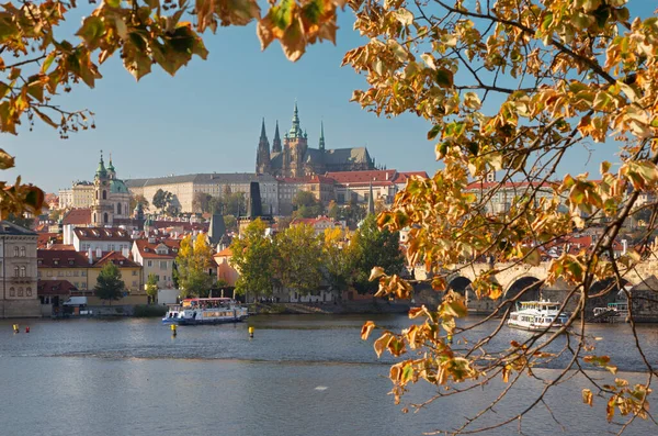 Praag Het Kasteel Kathedraal Met Vltava Rivier Herfstbladeren — Stockfoto