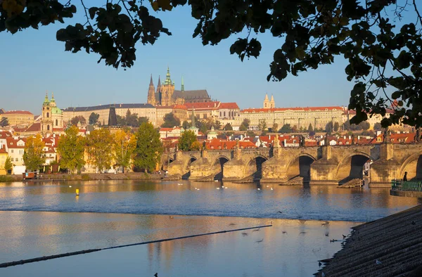 Prague Pont Charles Château Cathédrale Longent Rivière Vltava — Photo