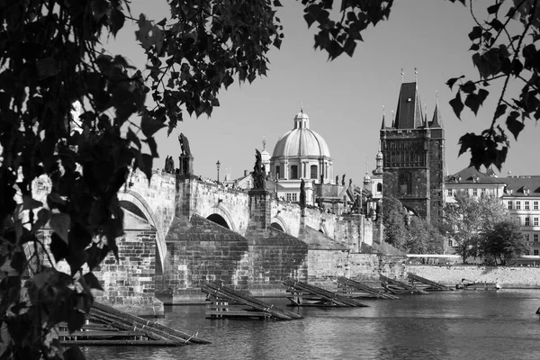 Prague Czech Republic October 2018 Charles Brief West — стокове фото