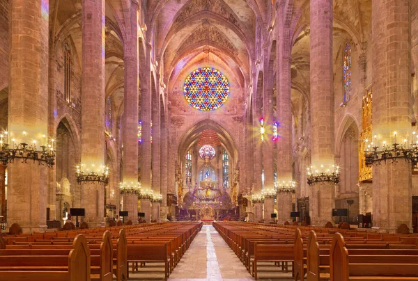 Palma Mallorca Spain January 2019 Nave Cathedral Seu — Zdjęcie stockowe