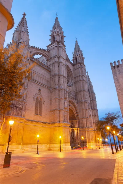 Palma Mallorca 黄昏时的La Seu大教堂 — 图库照片