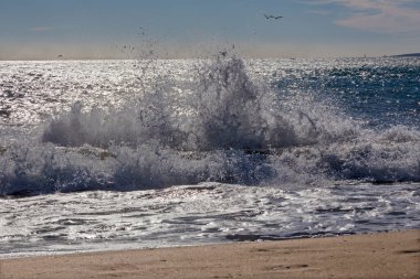 Palma de Mallorca - Barckgroud 'da büyük dalga ve rüzgar sörfü yelkenleri.