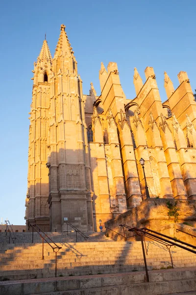 Palma Mallorca Καθεδρικός Ναός Seu Και Almudaina Παλάτι — Φωτογραφία Αρχείου
