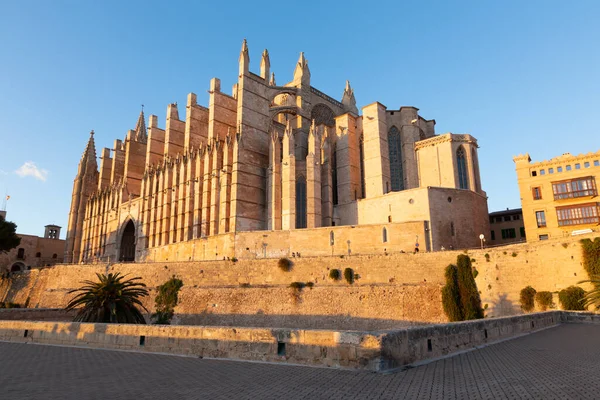 Palma Mallorca Die Kathedrale Seu Und Der Almudaina Palast — Stockfoto