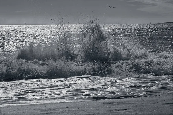 Palma Maiorca Grande Onda Vele Windsurf Nel Barckgroud — Foto Stock