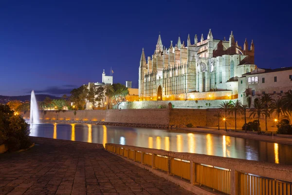 Palma Mallorca Katedralen Seu Skymningen — Stockfoto