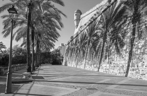 Palma Mallorca Almudaina Sarayı Duvarları — Stok fotoğraf