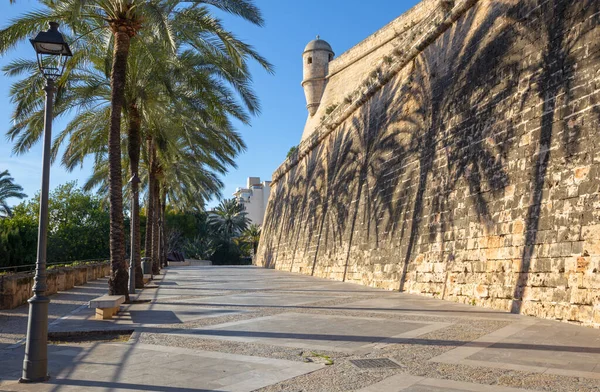 Palma Mallorca Las Murallas Del Palacio Almudaina —  Fotos de Stock