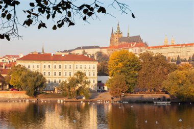 Prag - Şato ve Katedral Vltava nehri ve sonbahar yaprakları.