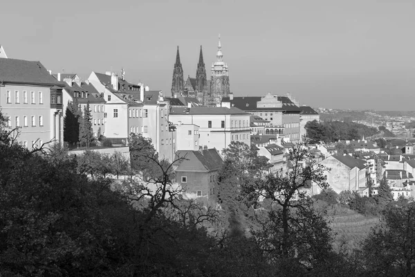Praga Hradacny Zamek Katedra Wita Petrinu Wieczornym Świetle — Zdjęcie stockowe