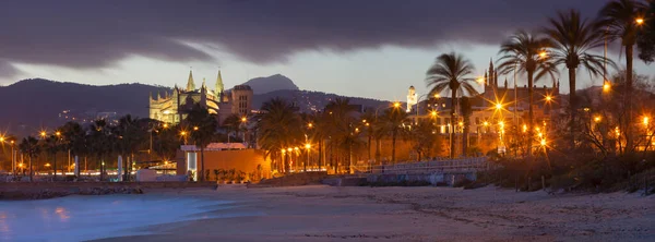 Palma Maiorca Panorama Praia Cidade Catedral Seu Fundo — Fotografia de Stock