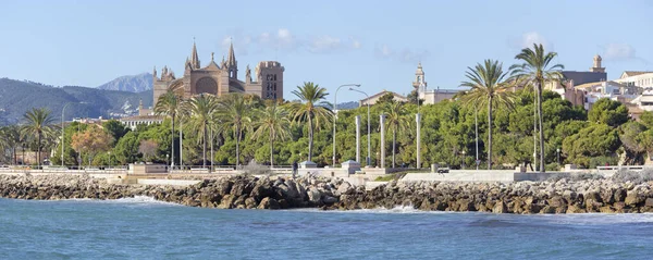 Palma Mallorca Waterfront Cathedral Seu Background — Stock Photo, Image