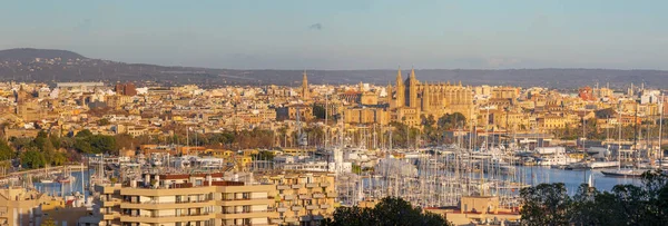 Palma Mallorca Paesaggio Urbano Della Città Luce Serale Con Cattedrale — Foto Stock