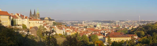 Прага Панорама Міста Замком Собором Святого Вітуса Вечірньому Світлі — стокове фото