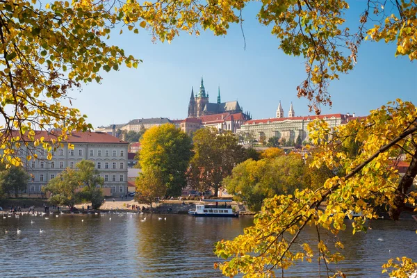 Prag Slottet Och Katedralen Withe Floden Vltava Och Höstlöven — Stockfoto