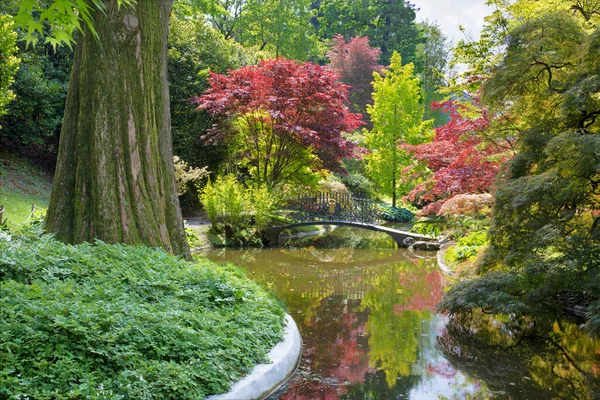 Bellagio Gardens Villa Melzi — Stock Photo, Image