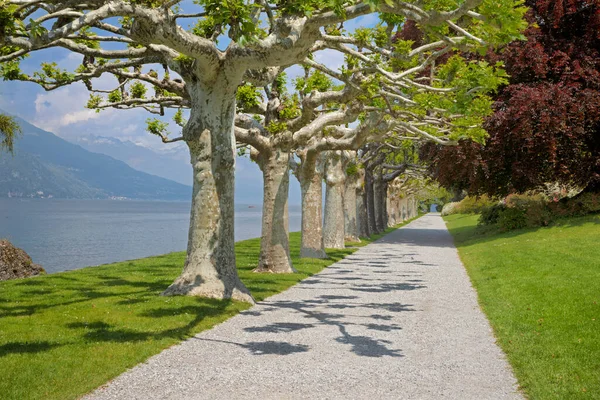 Belaggio Italy May 2015 Villa Melzi Waterfront Como Lake Gardens — Stock Photo, Image