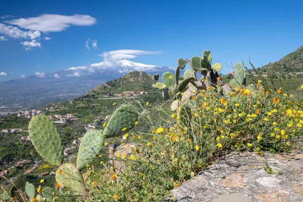 Taormina Path Spring Mediterranean Flowers Etna Volcano — Stock Photo, Image